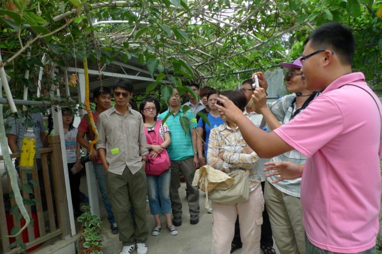 Group tour guide taking photo of visitors under green canopy