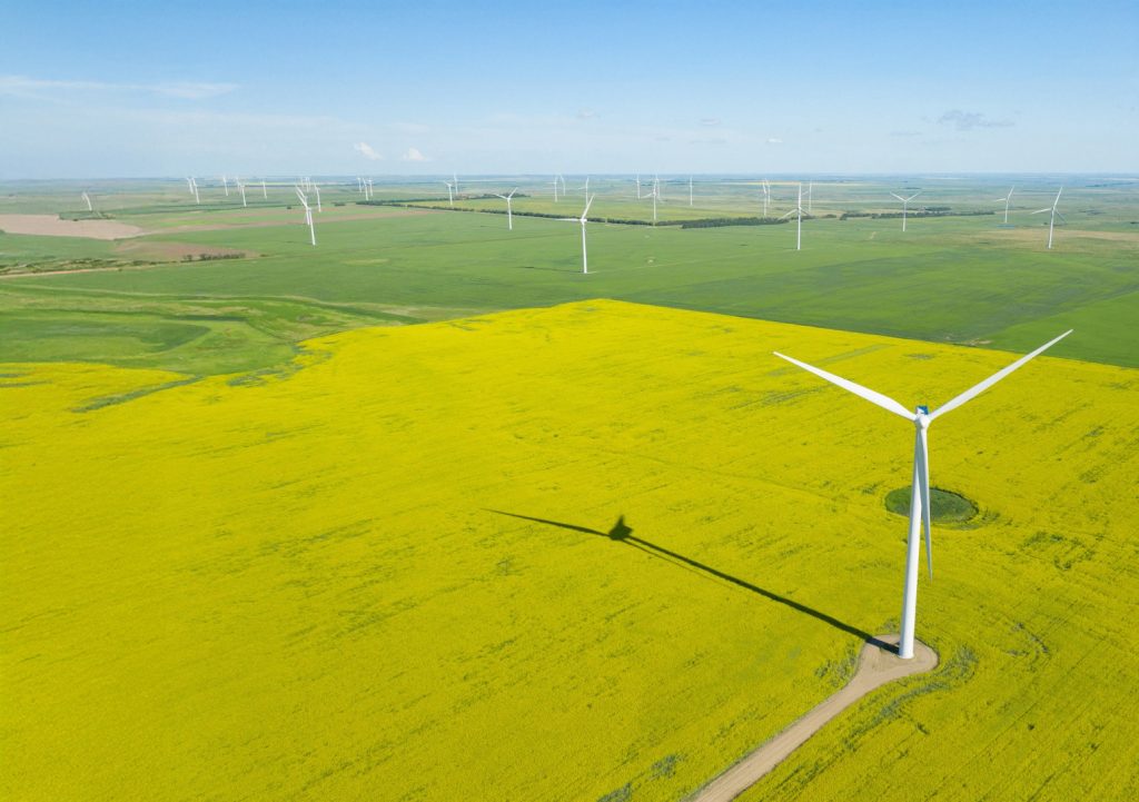Aerial view of wind turbines in a field of yellow flowers under a clear blue sky.